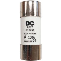 Fusible 100A 22x58